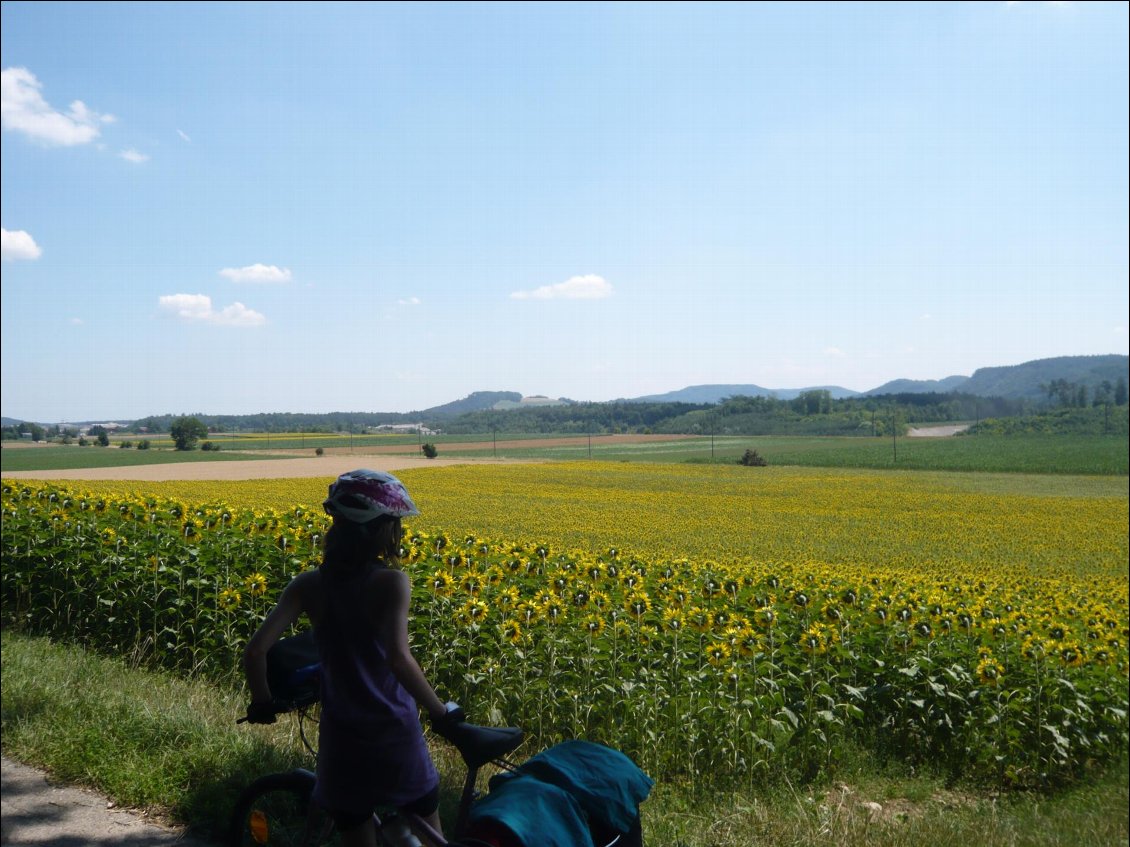 Couverture de Mulhouse-Ulm par l Eurovélo 6