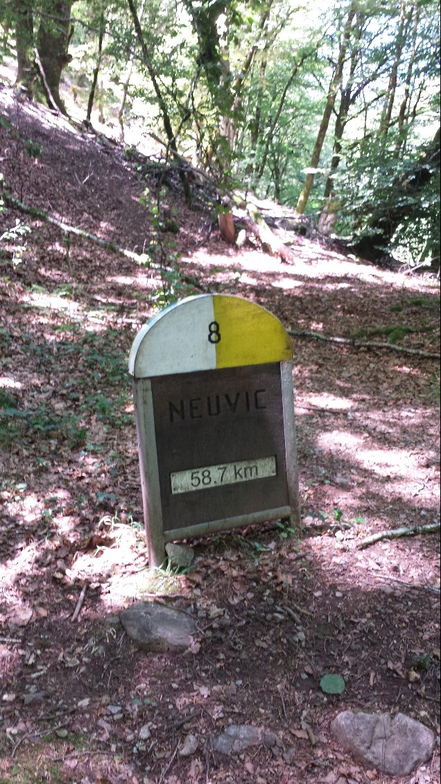 Section 1