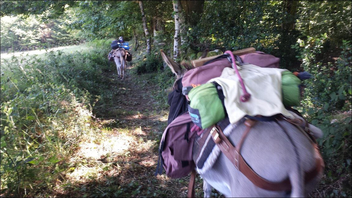La caravane passe....