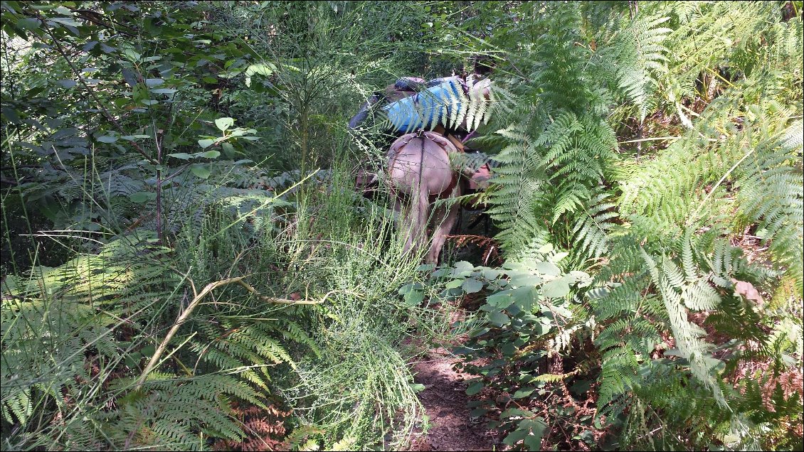 ..Se frayer un chemin...