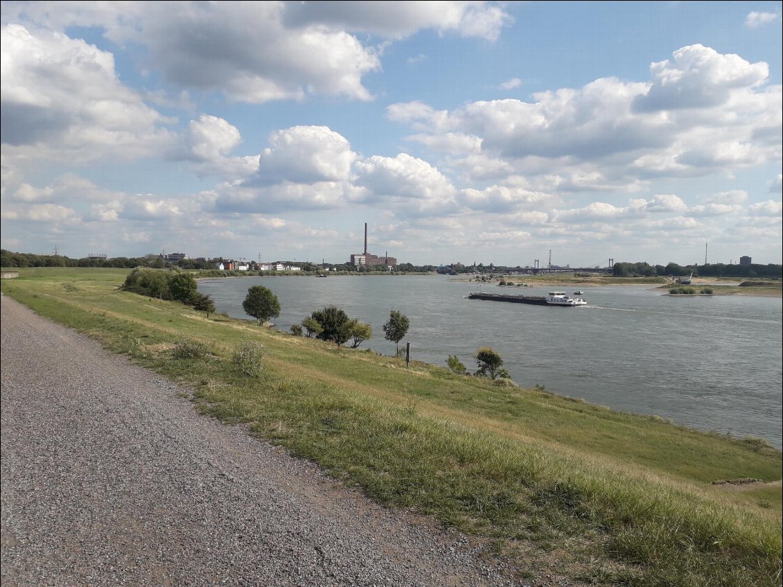 Le Rhin