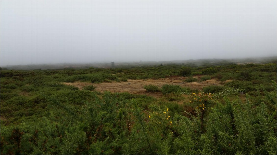 et ses ajoncs dans les nuages.