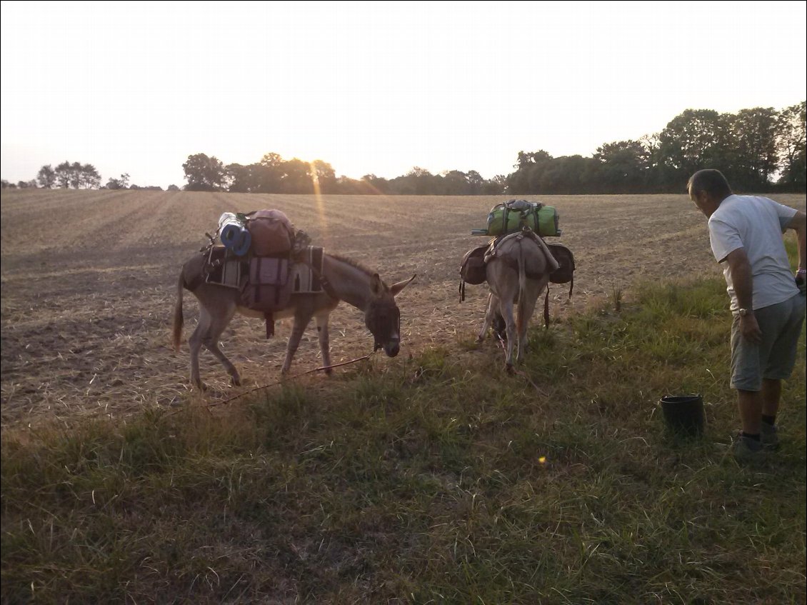 Bivouac en bordure de prairie ,en revenant sur nos pas !..à défaut d'un parc accueillant espéré en aval à Préveranges