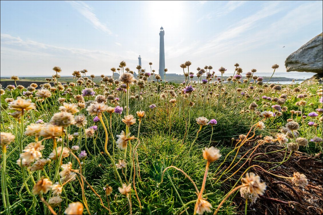 Le Phare de l'île Vierge vu de l'île Valan.