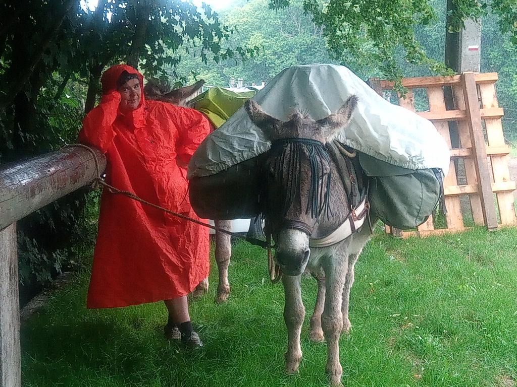 Après midi humide