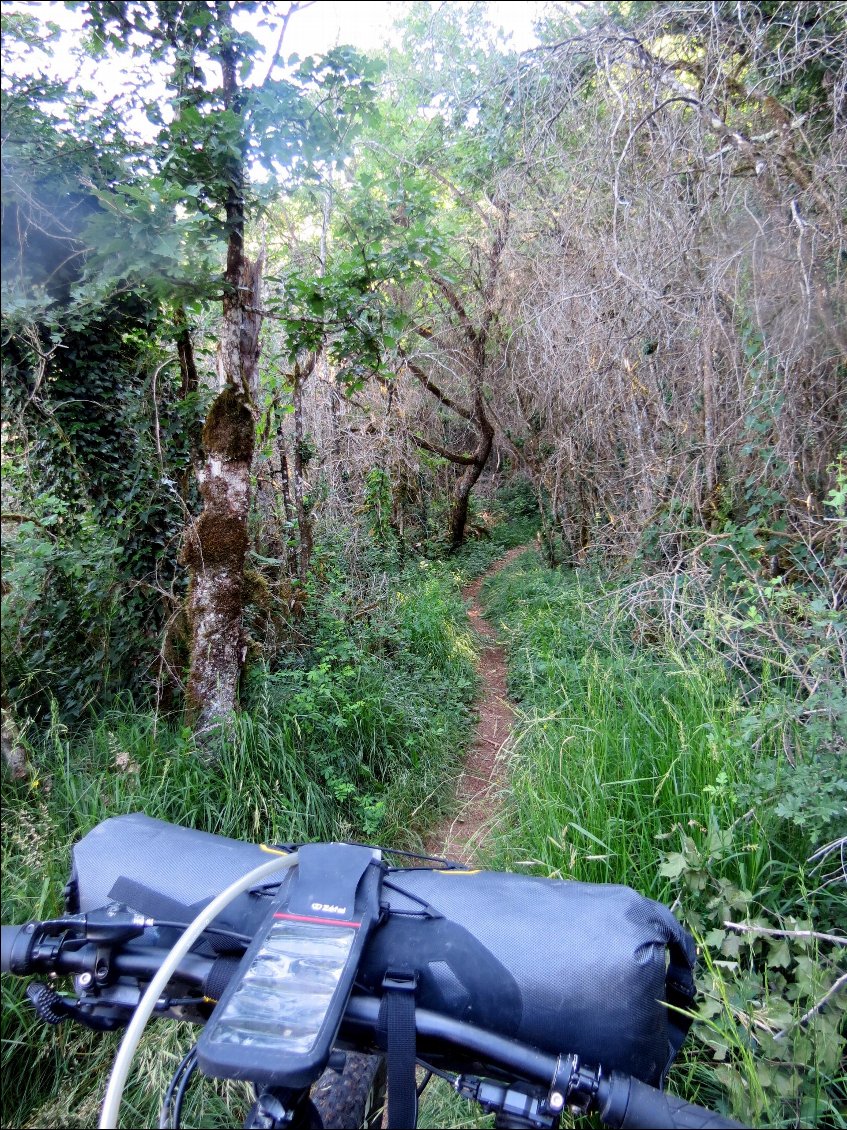 la magie 