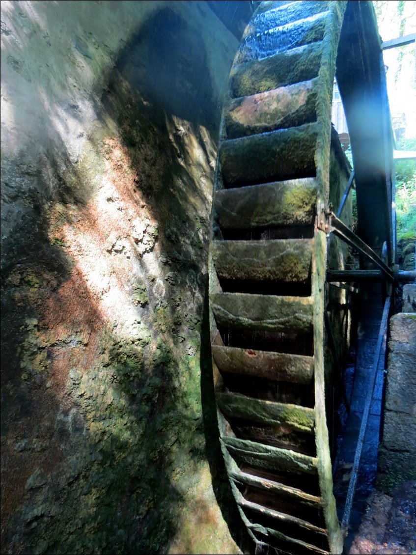 moulin de chanaz / vieille roue