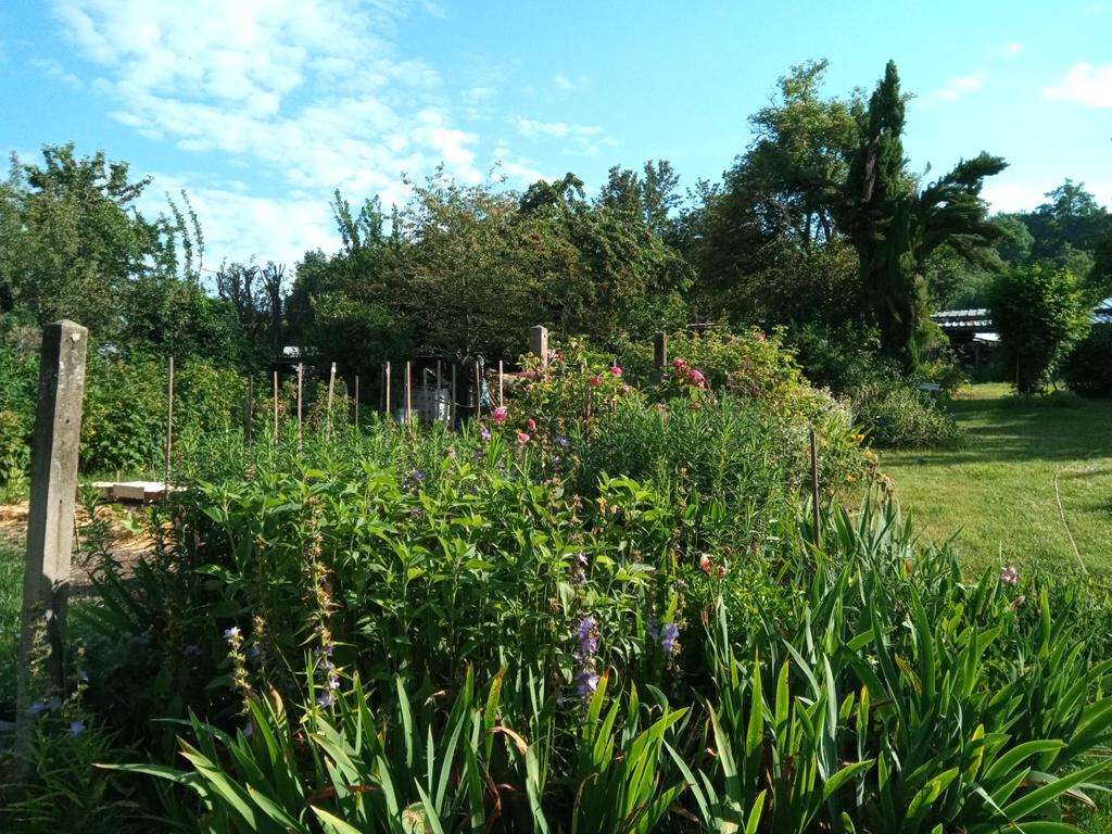 Le jardin d'Eden de Monique et Patrick