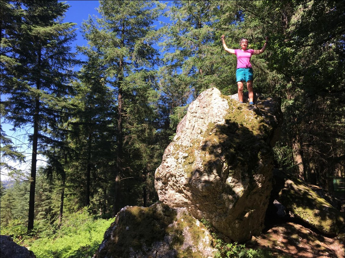 Le Rocher aux oiseaux : point culminant de la Charente à 368 m !