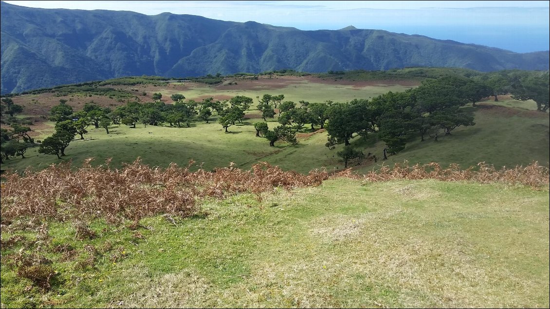 Fanal par beau temps