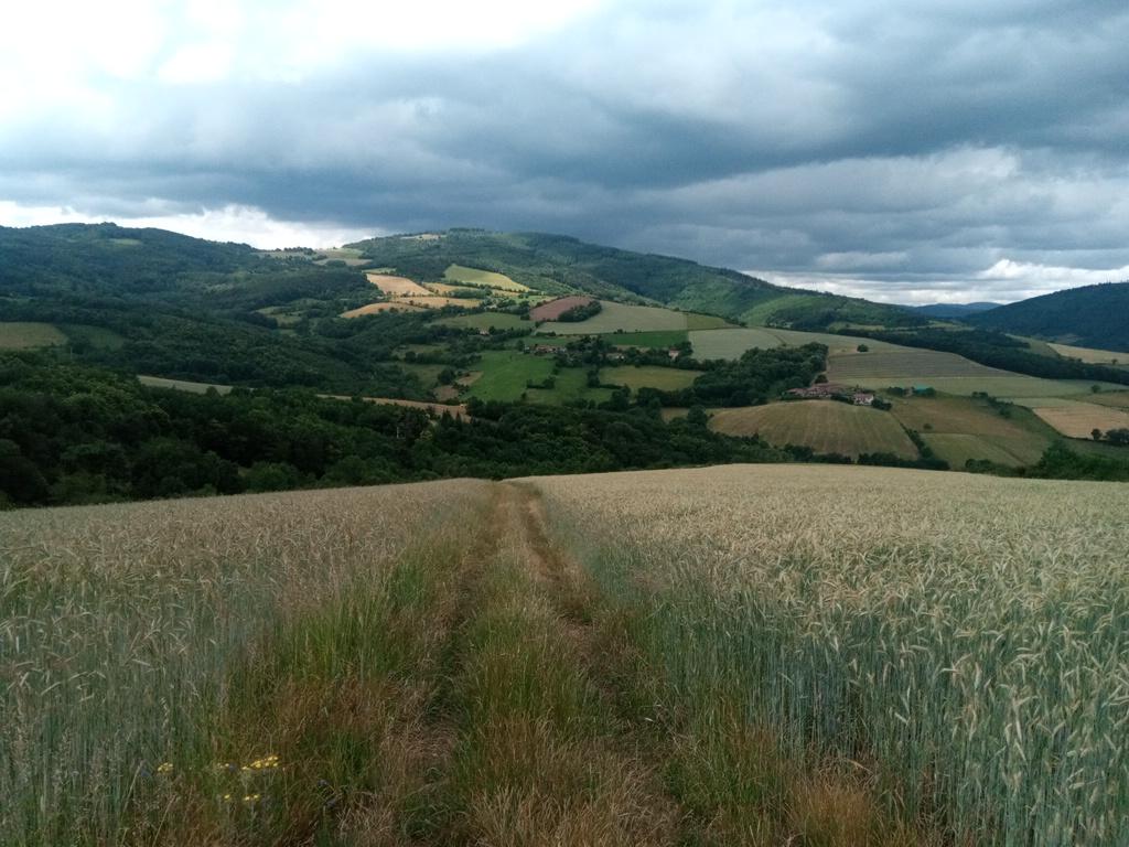 Patchwork de prés, cultures et forêts