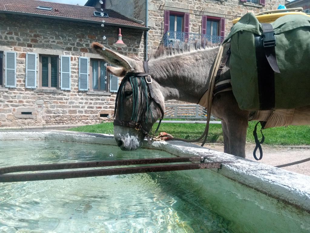 Pépito au "bar" du village
