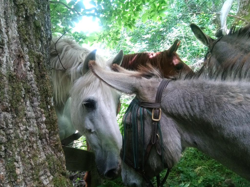 Rencontre
