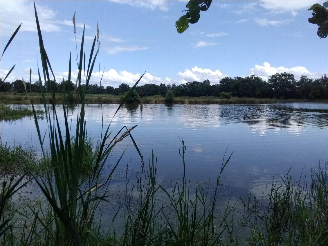 C'est beau la Dombes, hein? Oui, c'est dans l'Ain.