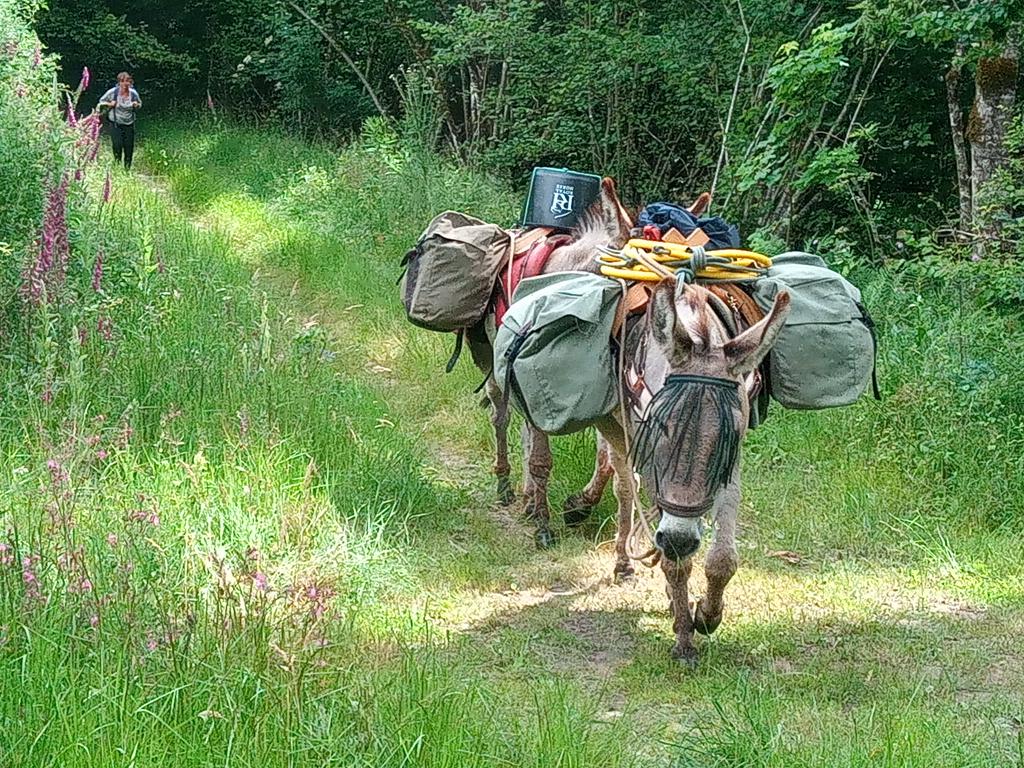 Des chemins fantastiques