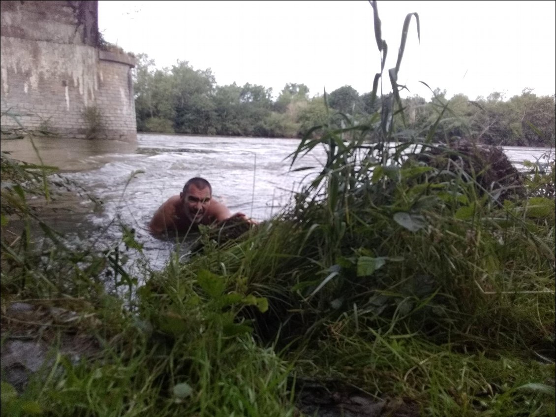 Baignade du matin dans la Loire.