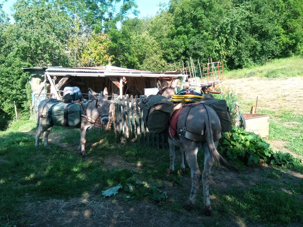 Notre bivouac de la nuit, un abri pour les chevaux. L'herbe avait l'air succulente et la voûte étoilée incroyable.