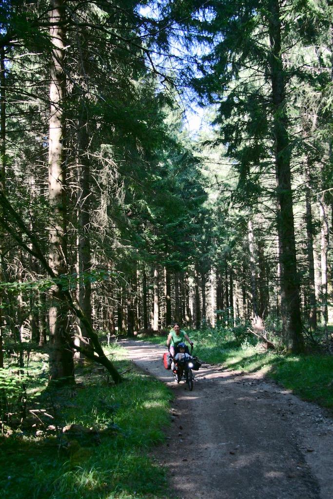 Jour 4 chemins en forêt