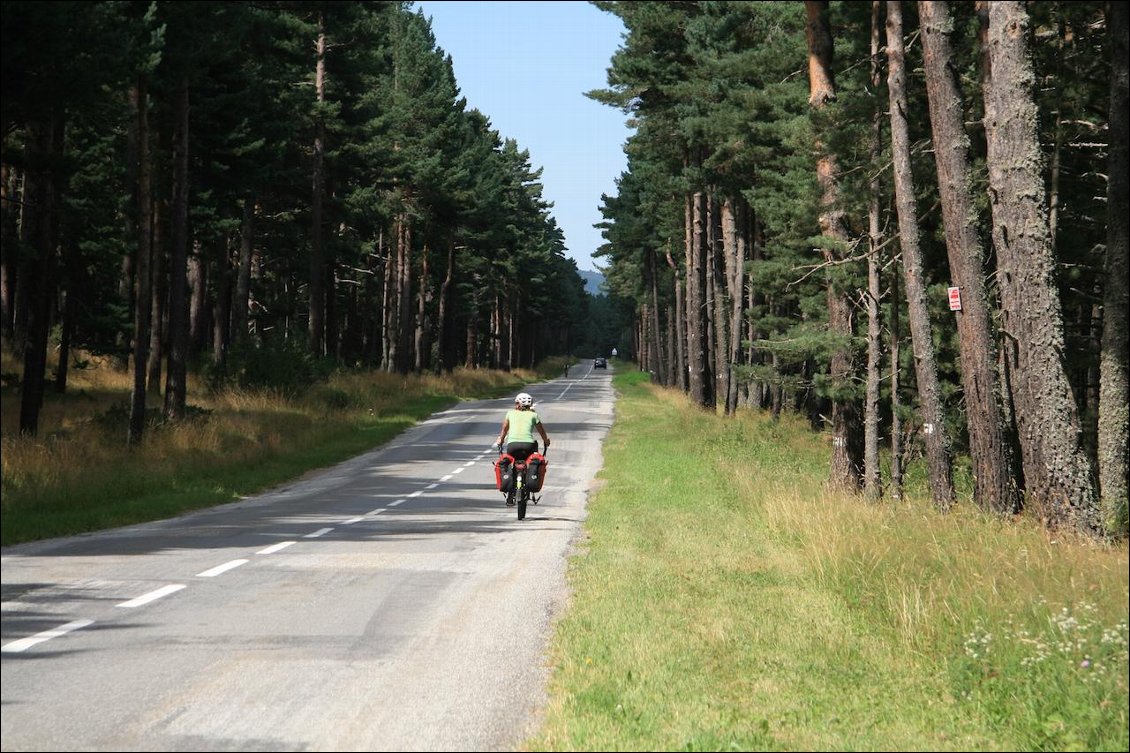 Jour 25 : encore des forêts impressionnantes (Capcir)