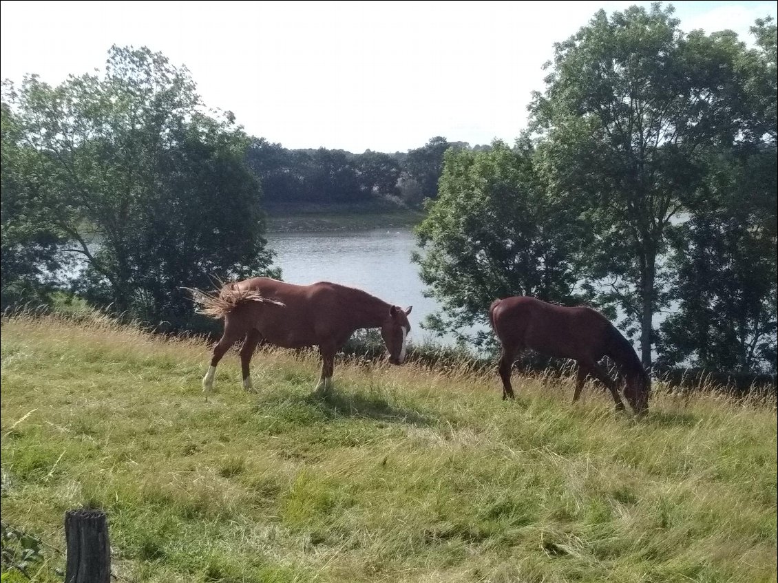 Réservoir du Tillot