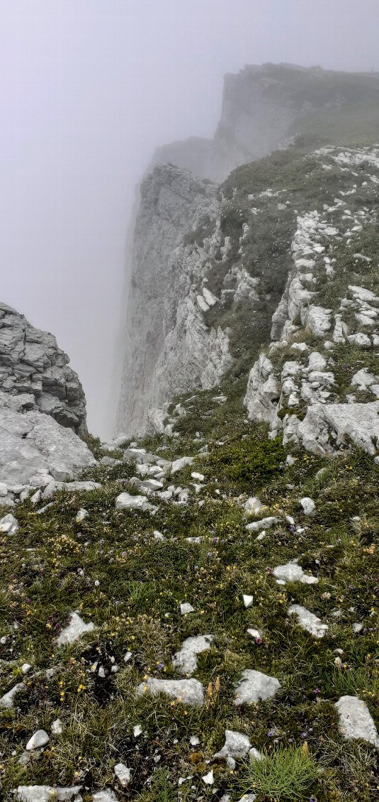 Soi et la nature, brume profonde. 