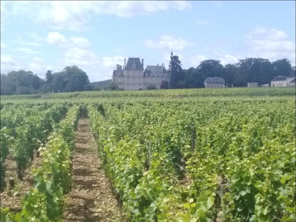 Vers Chambertin