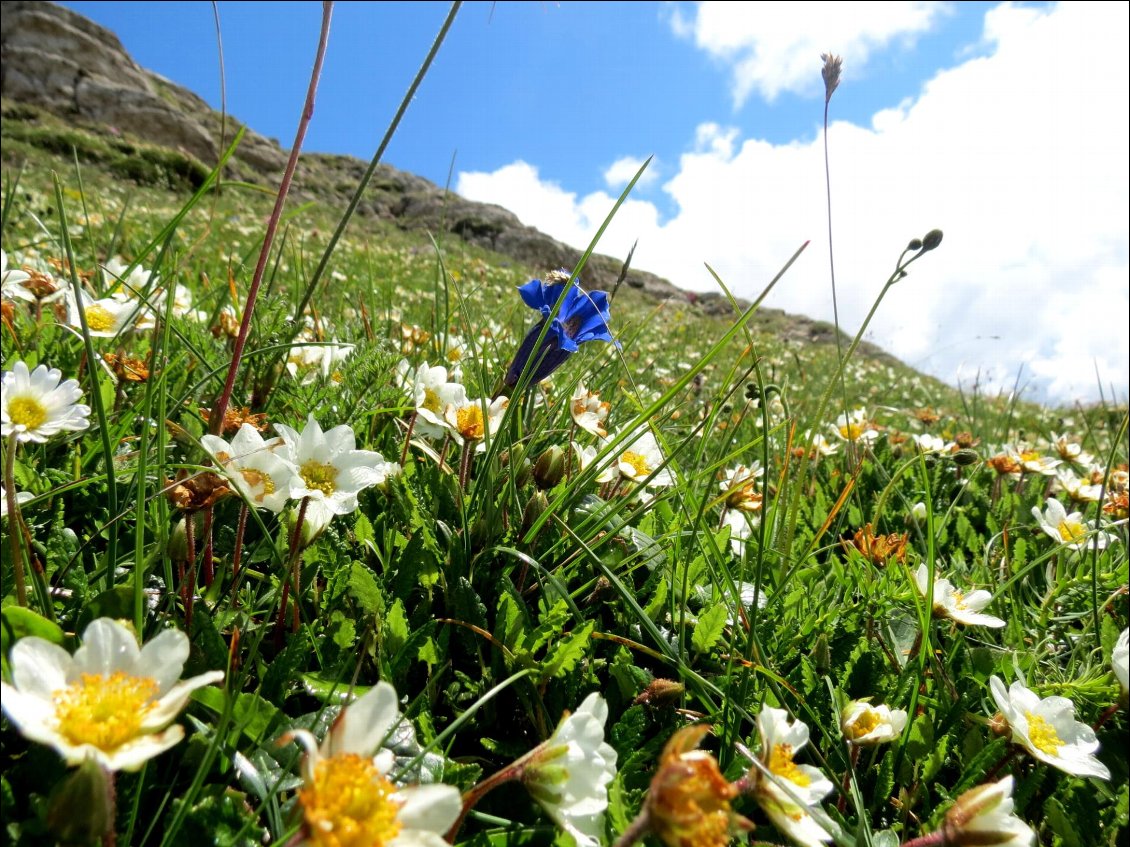 Couverture de 4 jours de jeûne - 4 jeûneuses - 2 naturopathes - Vercors Sud