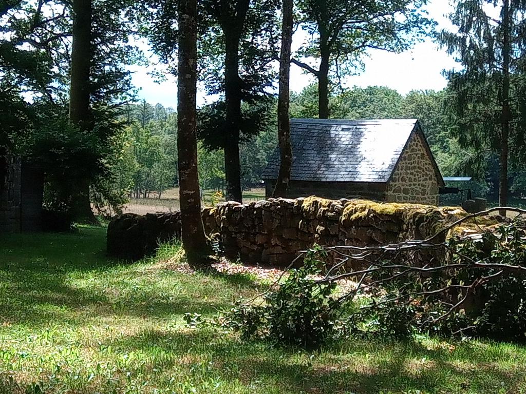 Sérénité des vieilles pierres