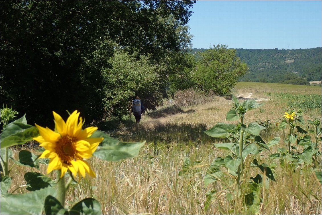 La campagne bucolique comme décor du portage