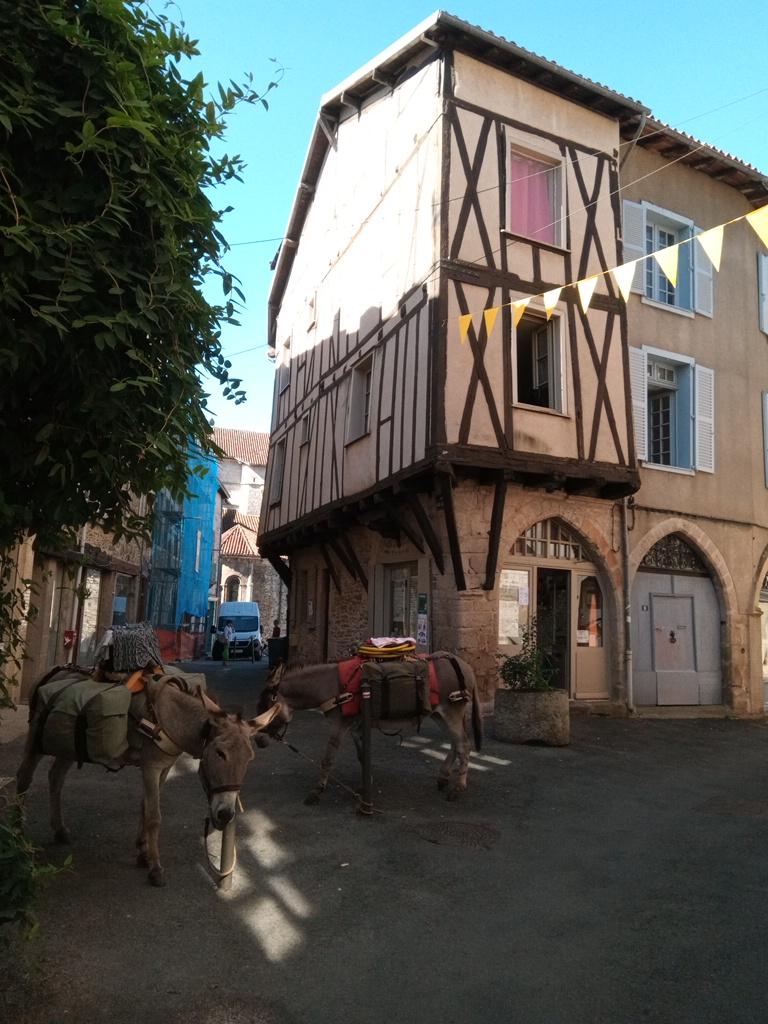 Il y a bien longtemps que ces murs médiévaux n'avaient pas entendu les clics clacs des sabots des ânes