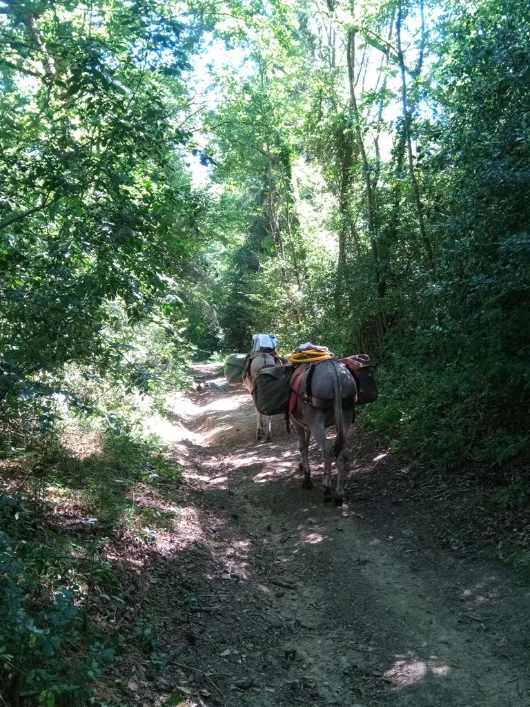 Des beaux chemins comme nous les aimons