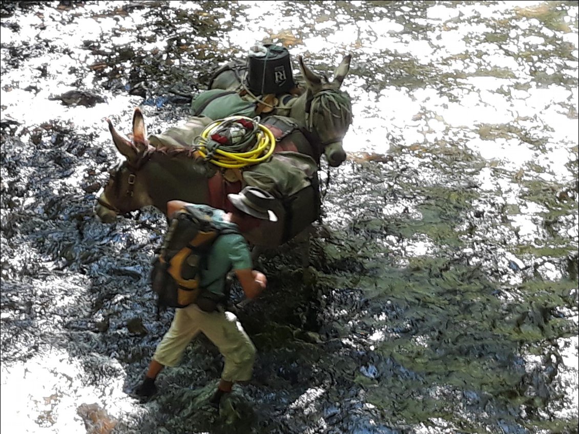 Qui a dit qu'on avait peur de l'eau. Aujourd'hui mi cuisse, demain à la ceinture.