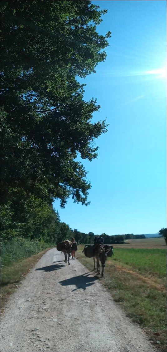 Il fait chaud, le ciel est haut.