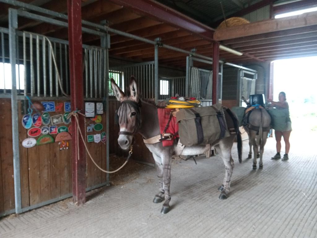 Les loulous sont prêts pour le départ, avec toutes les plaques et le palmarès de Daniel, Marie Thé et leurs chevaux, ils sont gonflés à bloc.