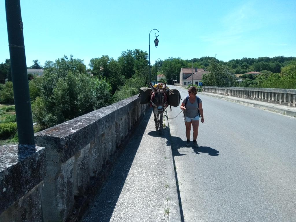 Encore un pont pour Vanille. En se déplaçant sur le trottoir, elle peut voir les bateaux