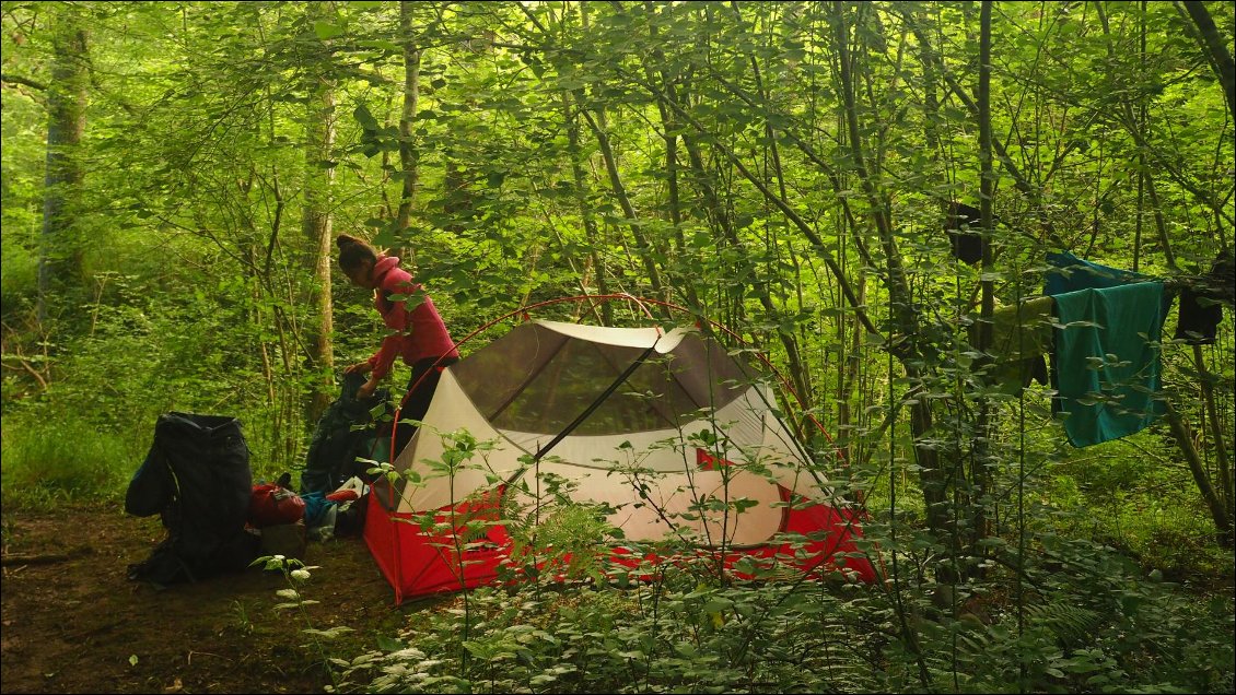 J6 : bivouac en forêt où il y a juste la place pour notre tente entre les arbres et les fougères
