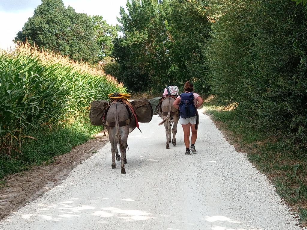 La piste semble avoir été faite juste pour notre passage