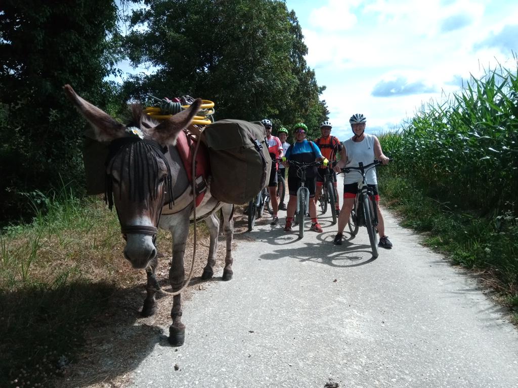 Rencontre du matin avec des vététistes bien sympathiques