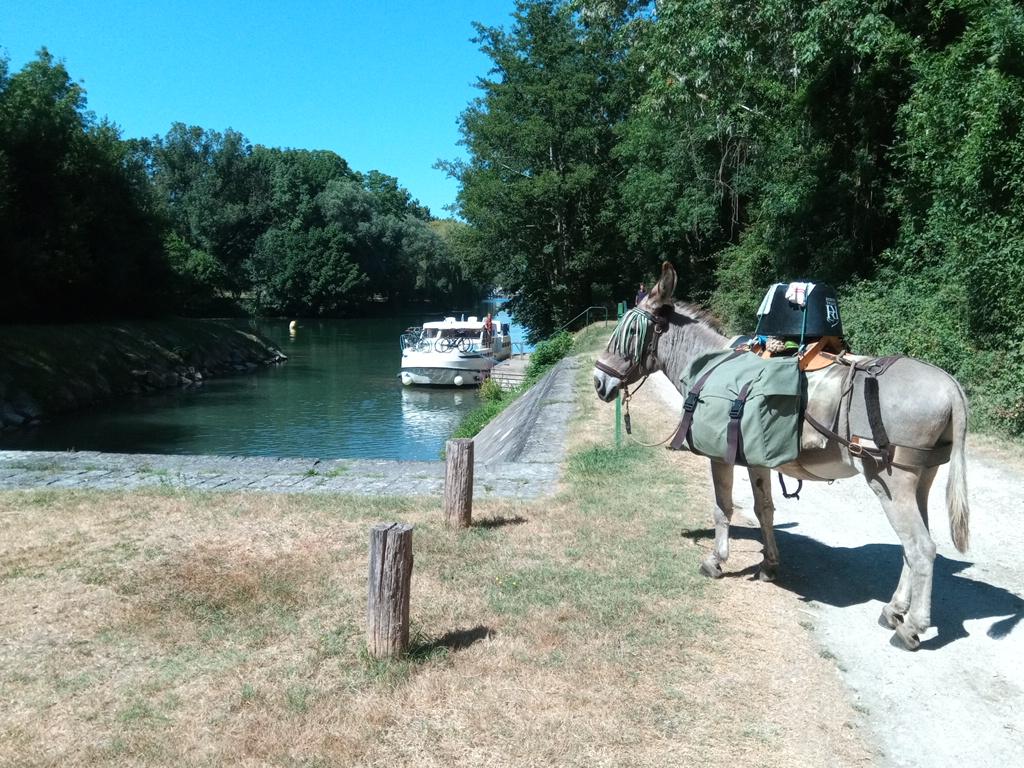 Nous utilisons le chemin de halage sur les bords de Charente.