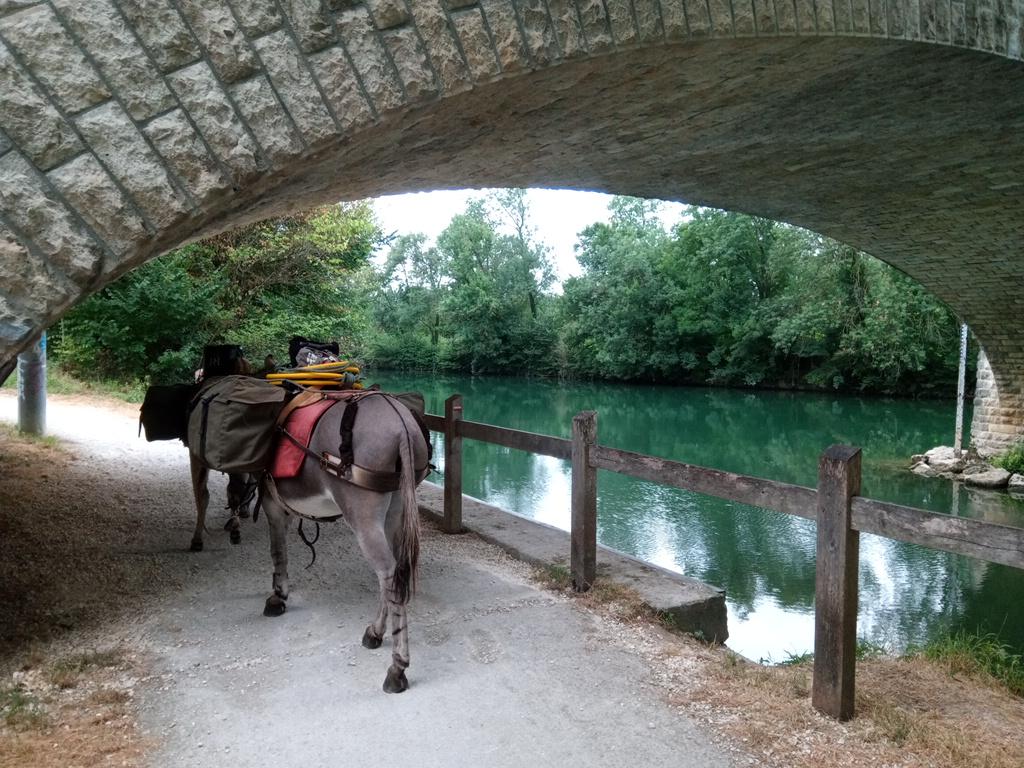 Des bords de Charente très agréables