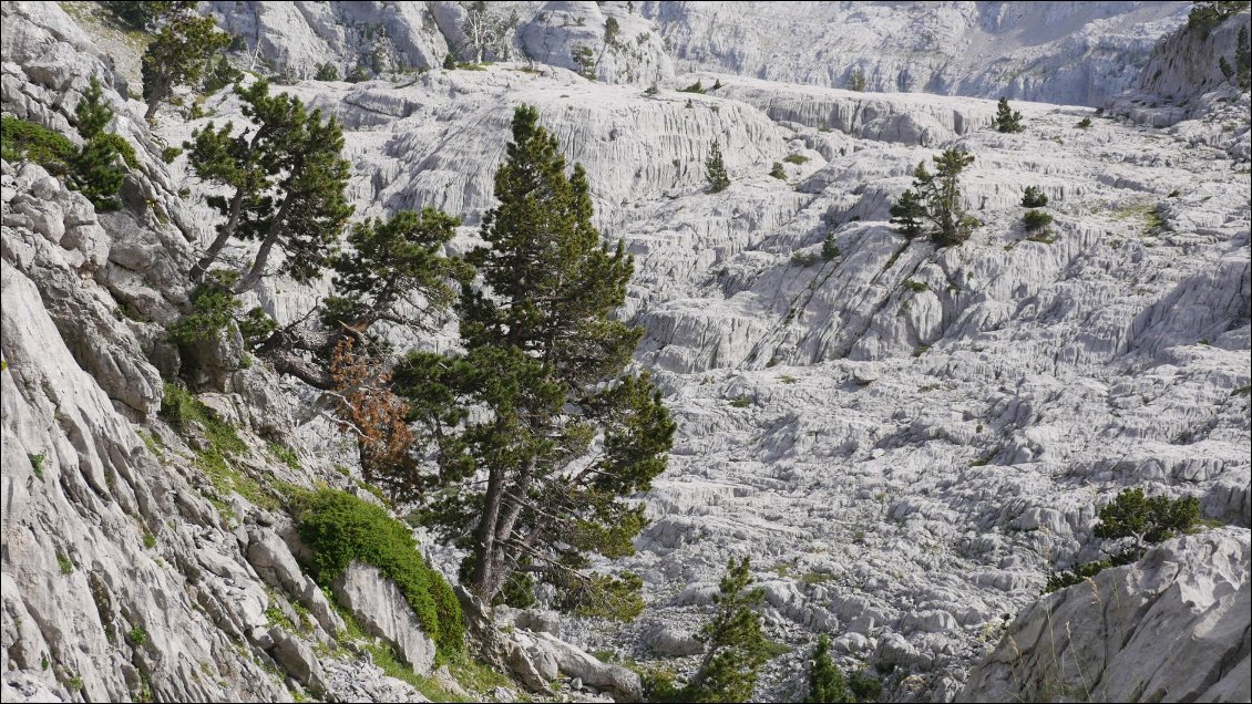 J9 : la magnifique découverte de la réserve de Larra, un plateau calcaire semblant infini