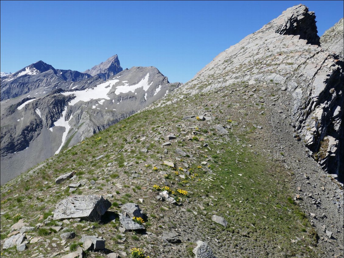 Terminus de mon itinérance du jour, au pied de l'arête schisteuse de la Grande Chible. Au fond une des Aiguilles d'Arves me lance un clin d'oeil.