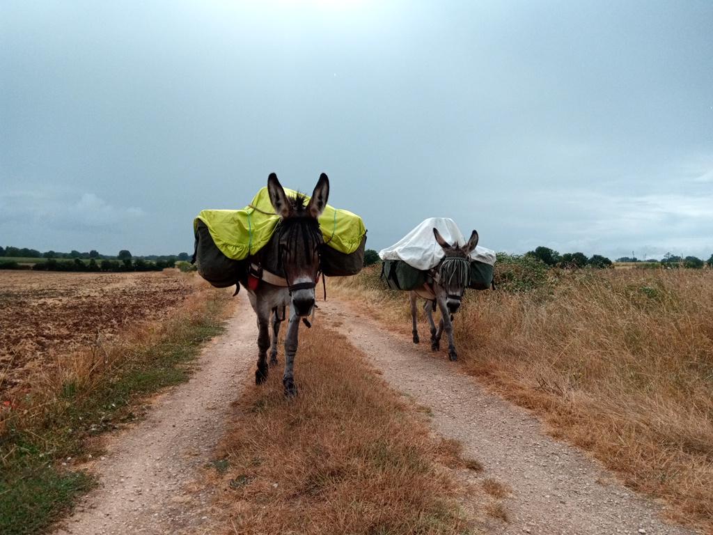 "On a dû bâcher c'matin. Ce n'est pas l'herbe du chemin qui va se plaindre d'une petite pluie