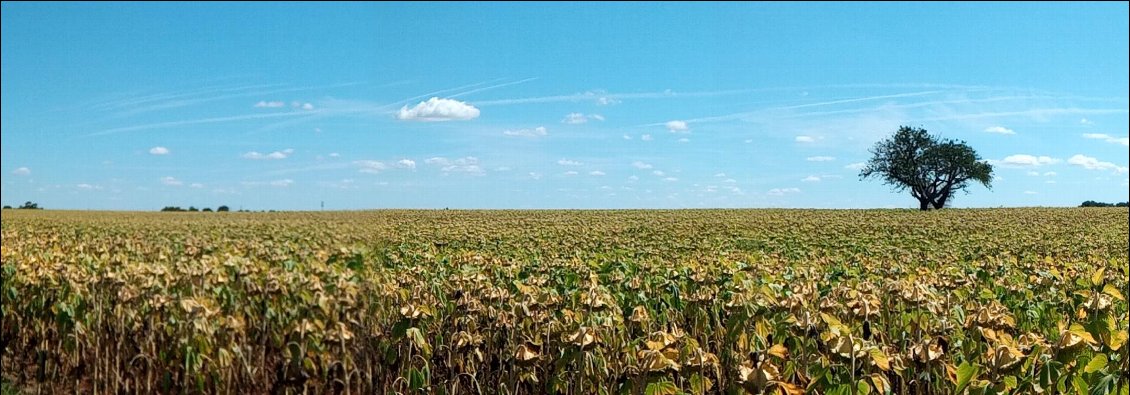 "C'est franc plat par là" comme on dirait à Thônes