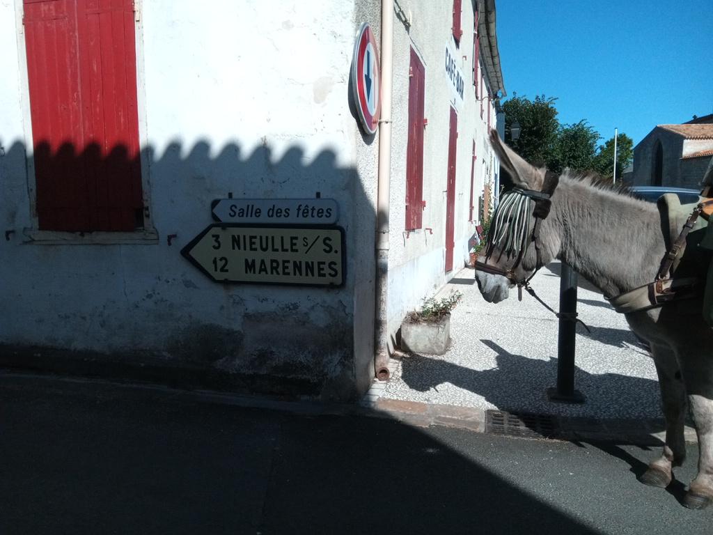 Pépito reste perplexe devant le panneau qui indique Marennes à 12 km, il va finir par le voir cet Océan.