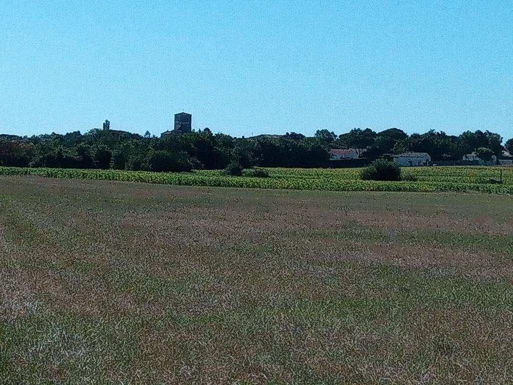 La tour de Broue, seul vestige d'un château fort du XI ème siècle qui domine les marais