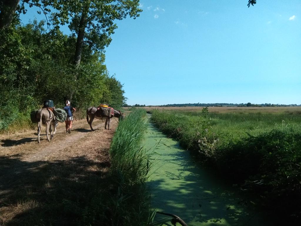 Encore un peu de terre