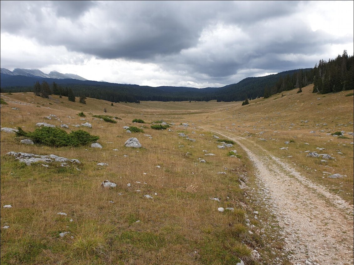 La plaine de Darbounouse