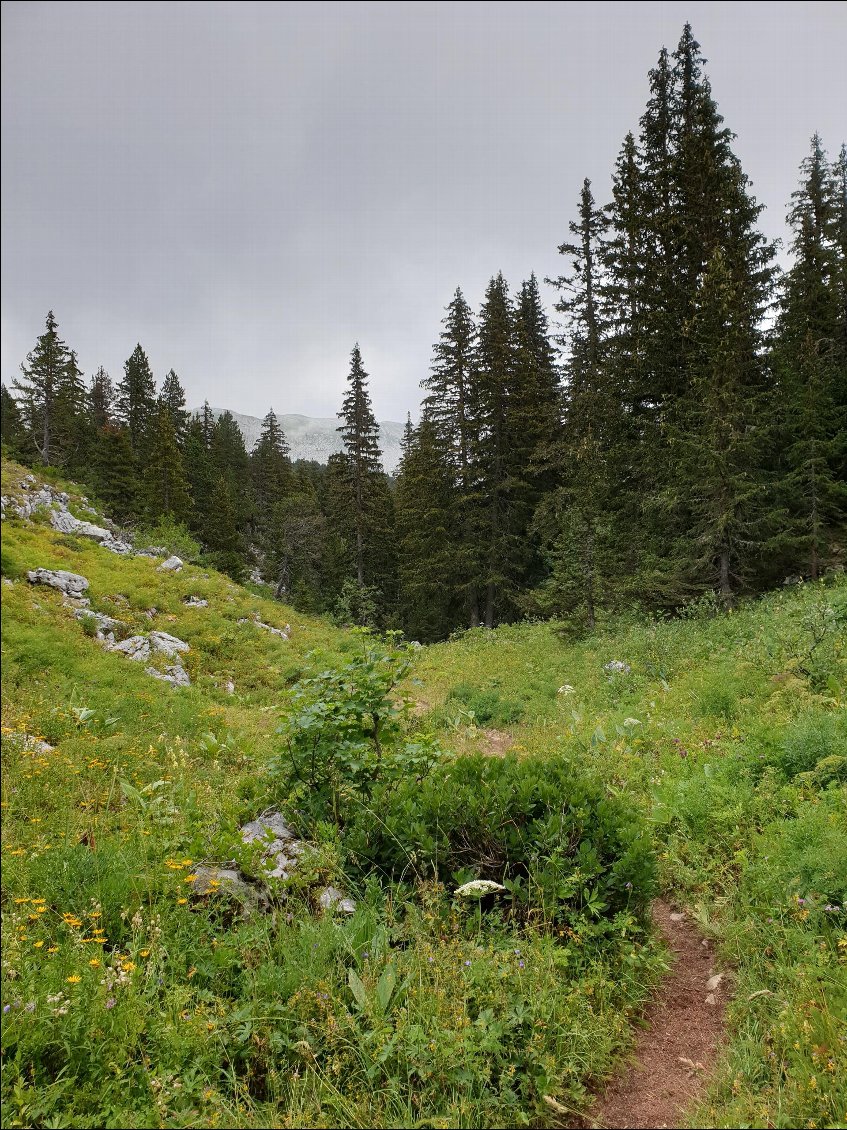 Changement de paysage après les gorges des Erges