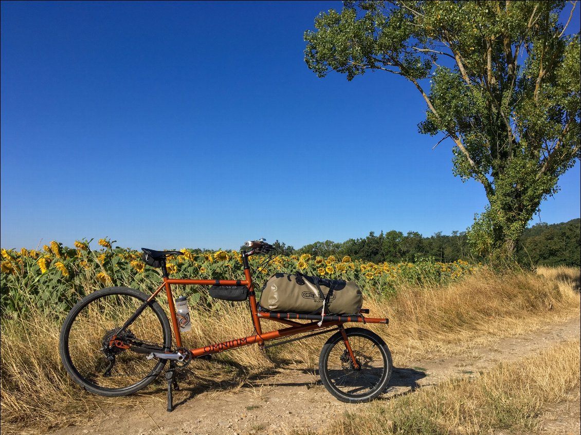 Couverture de Petit demi tour de France en vélo cargo